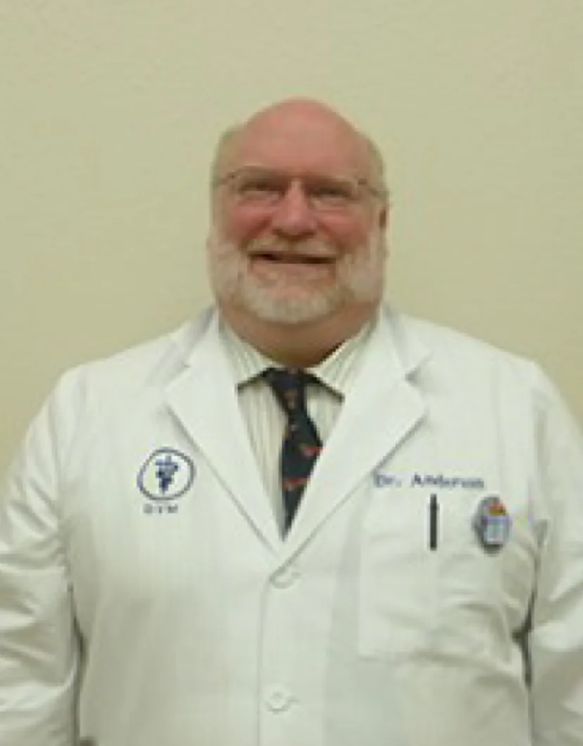 Dr. Scott D. Anderson at Channel Islands Veterinary Hospital / Las Posas Veterinary Medical Center